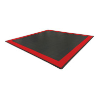 Diamondtrax Two Car Mat